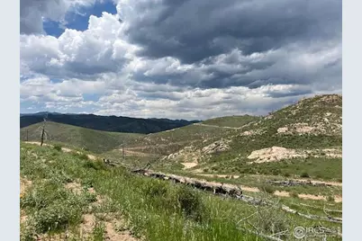 598 Mount McConnell Dr, Livermore, CO 80536 - Photo 9