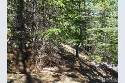 0 Gamble Gulch, Black Hawk, CO 80422 - Photo 11
