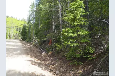 0 Gamble Gulch, Black Hawk, CO 80422 - Photo 23