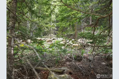 0 Gamble Gulch, Black Hawk, CO 80422 - Photo 21