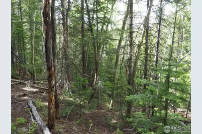 0 Gamble Gulch, Black Hawk, CO 80422 - Photo 17