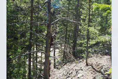 0 Gamble Gulch, Black Hawk, CO 80422 - Photo 7