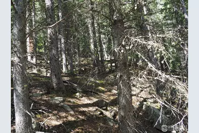 0 Gamble Gulch, Black Hawk, CO 80422 - Photo 13
