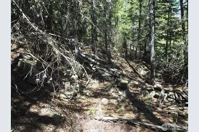0 Gamble Gulch, Black Hawk, CO 80422 - Photo 9