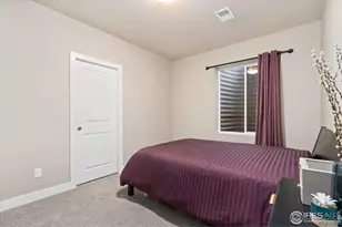 5317 School House Dr, Timnath, CO 80547 - Photo 31