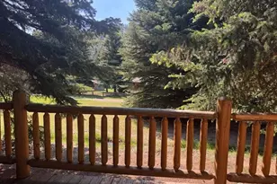 110 Meadow Ln, Bellvue, CO 80512 - Photo 17