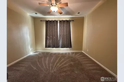 1238 Finch St, Loveland, CO 80537 - Photo 19
