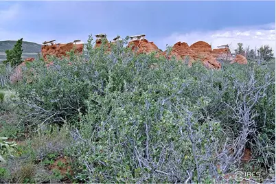 [Address not provided], Livermore, CO 80536 - Photo 5