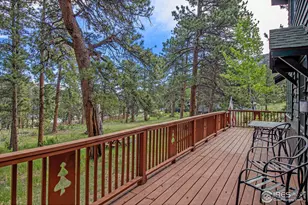 1141 Wallace Ln, Estes Park, CO 80517 - Photo 31