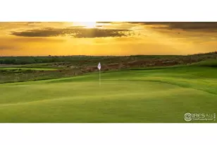 1819 Crisp Air Dr, Windsor, CO 80550 - Photo 23