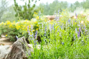 237 Puma Dr, Boulder, CO 80302 - Photo 39