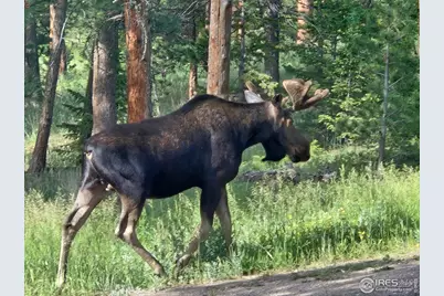 18673 Highway 7, Lyons, CO 80540 - Photo 13