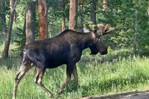 18673 Hwy 7, Lyons, CO 80540 - Photo 13