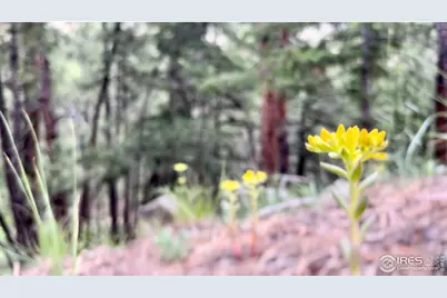 375 Arroyo Chico, Boulder, CO 80302 - Photo 29