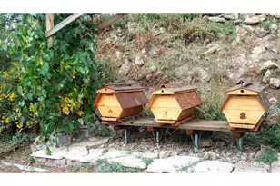 6811 W Co Rd 20, Loveland, CO 80537 - Photo 37