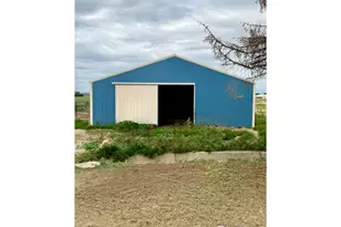 37416 Co Rd 45, Eaton, CO 80615 - Photo 5