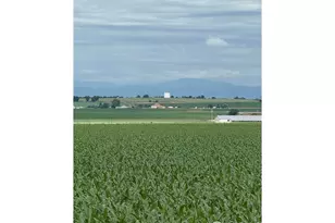 37416 Co Rd 45, Eaton, CO 80615 - Photo 21