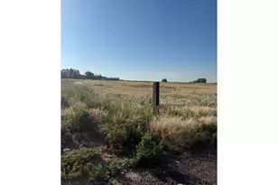 37416 Co Rd 45, Eaton, CO 80615 - Photo 29