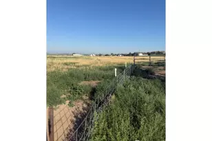 37416 Co Rd 45, Eaton, CO 80615 - Photo 29