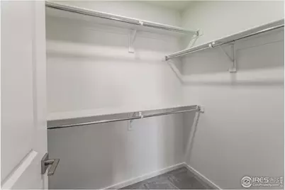 5409 Drehle St, Timnath, CO 80547 - Photo 29