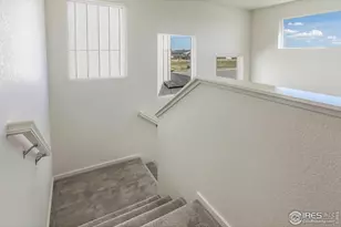 5409 Drehle St, Timnath, CO 80547 - Photo 21