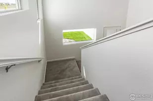 5409 Drehle St, Timnath, CO 80547 - Photo 37