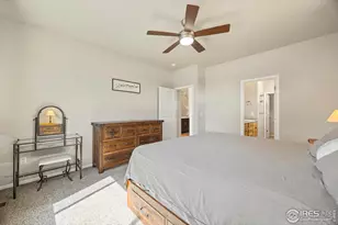 381 Mount Bross Ave, Severance, CO 80550 - Photo 15