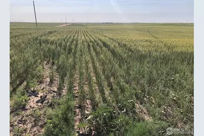 0 Cr 70, Briggsdale, CO 80611 - Photo 3