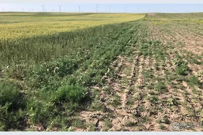 0 Cr 70, Briggsdale, CO 80611 - Photo 7