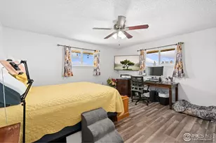 24250 County Road 60 1/2, Greeley, CO 80631 - Photo 21