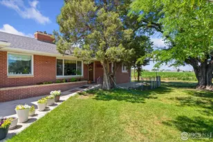 24250 County Road 60 1/2, Greeley, CO 80631 - Photo 3