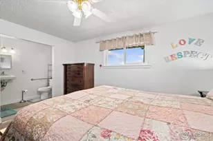 24250 County Road 60 1/2, Greeley, CO 80631 - Photo 19
