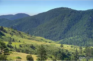 12547 Co Rd 43, Drake, CO 80515 - Photo 21