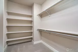 6928 Summerwind Ct, Timnath, CO 80547 - Photo 17