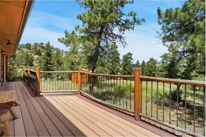 556 Bald Mountain Dr, Livermore, CO 80536 - Photo 29