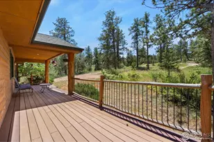 556 Bald Mountain Dr, Livermore, CO 80536 - Photo 3