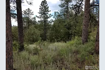 556 Bald Mountain Dr, Livermore, CO 80536 - Photo 35