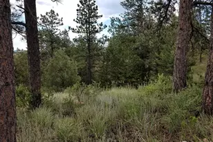 556 Bald Mountain Dr, Livermore, CO 80536 - Photo 35