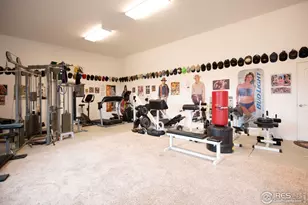18441 Bandana Ln, Wellington, CO 80549 - Photo 15