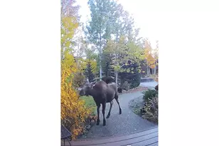 520 Night Chant Ln, Frisco, CO 80443 - Photo 35