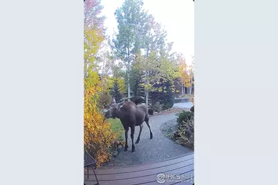 520 Night Chant Ln, Frisco, CO 80443 - Photo 33