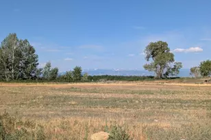 15283 Ypsilon Circle, Mead, CO 80542 - Photo 1