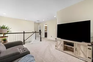 833 Audubon Peak Dr, Erie, CO 80516 - Photo 15