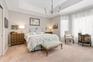 1443 Folsum Dr, Windsor, CO 80550 - Photo 17