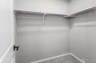 545 N Aria Wy, Fort Collins, CO 80524 - Photo 33