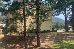 465 Pine River Ln, Estes Park, CO 80517 - Photo 29