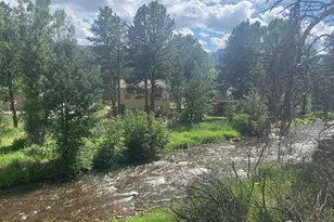 465 Pine River Ln, Estes Park, CO 80517 - Photo 3