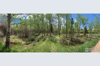 411 Tesuque Trl, Red Feather Lakes, CO 80545 - Photo 9