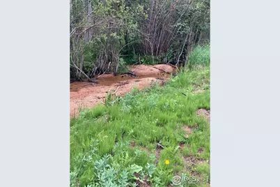 411 Tesuque Trl, Red Feather Lakes, CO 80545 - Photo 21