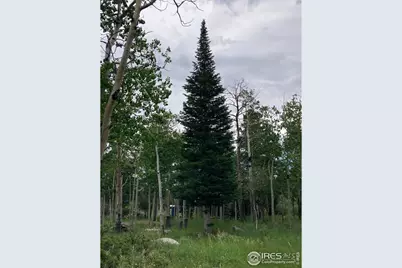 411 Tesuque Trl, Red Feather Lakes, CO 80545 - Photo 25